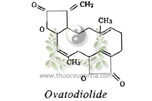 ovatodiolide