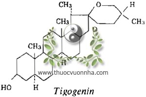 tigogenin