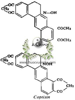 becbérin, C20H19NO5, coptisin, C19H15NO5