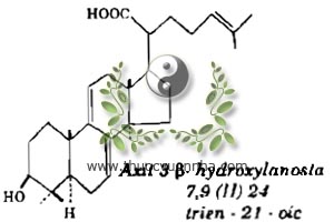 hydroxylanosta