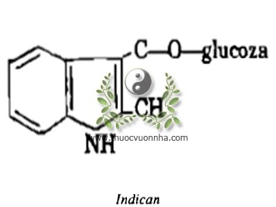 Indican