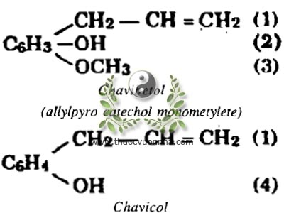 chavibetol, chavicol