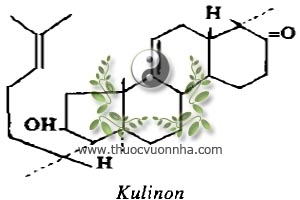 Kulinon